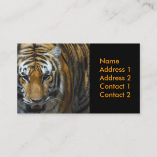 photography business card