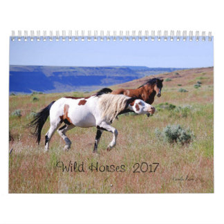 Photography By Carolyn 2017 Wild Horse Calendar