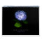 Photography Calendar 2013