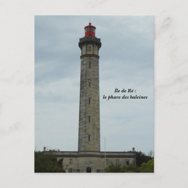 Photography Île de Ré, France - Postcard (Front)