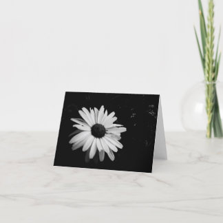 Photography Notecards