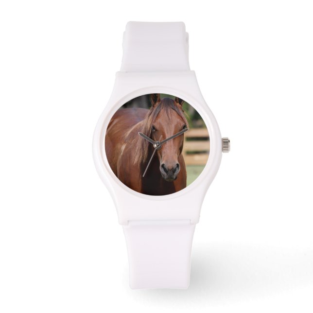 Photography of horse on watch (Front)