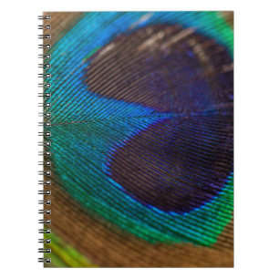 Photography of peacock feather notebook