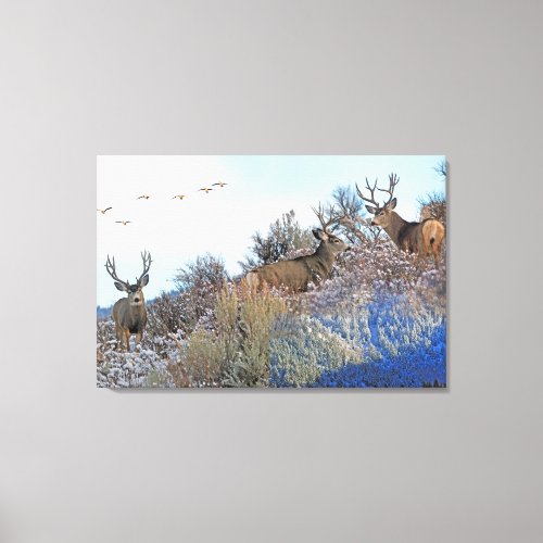 Photography photoshop art canvas print