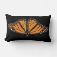 Photography Picture of Monarch Butterfly