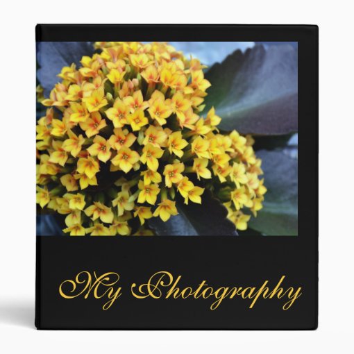Photography Portfolio Binder Zazzle