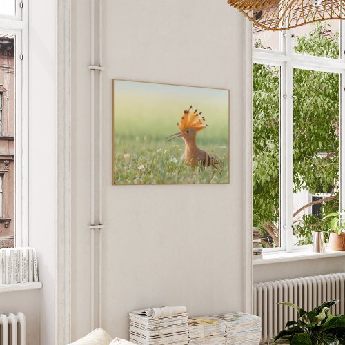 Photography Print of the Hoopoe bird in flowers