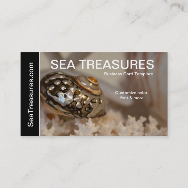 Photography SeaShells Business Card (Front)