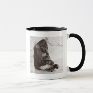 Photography Sleeping Gorilla Mug