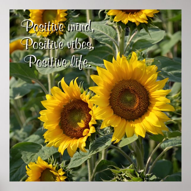 Photography Sunflowers in Nature Personalized Poster (Front)