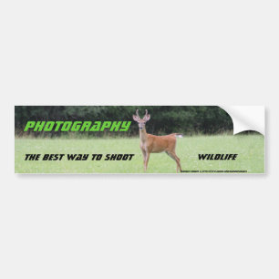 Photography: The best way to shoot Bumper Sticker