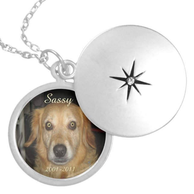 PhotoMemory of Pet Necklace.. Silver Plated Necklace (Front)