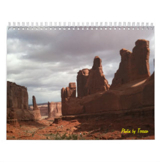 Photos by Teresea Calendar