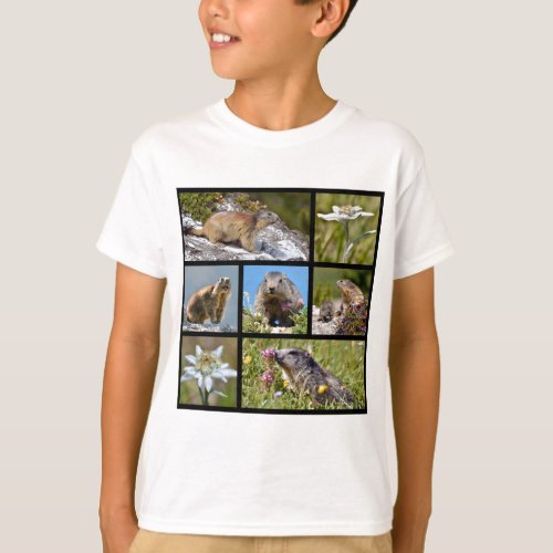 Photos mosaic Alpine marmots and edelweiss T_Shirt