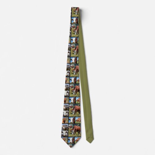 Photos mosaic of cows neck tie