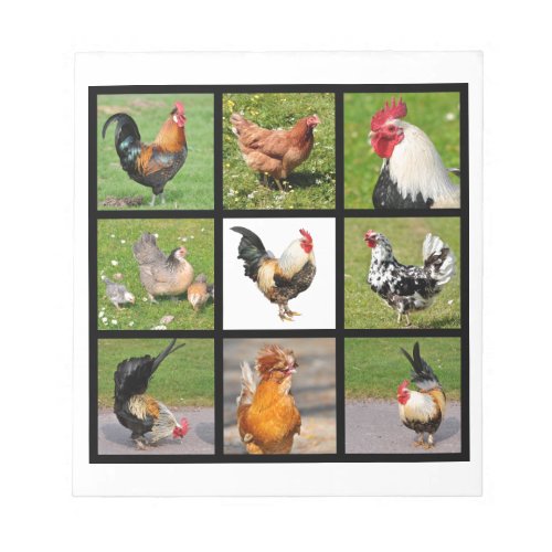 Photos mosaic of roosters and hens notepad
