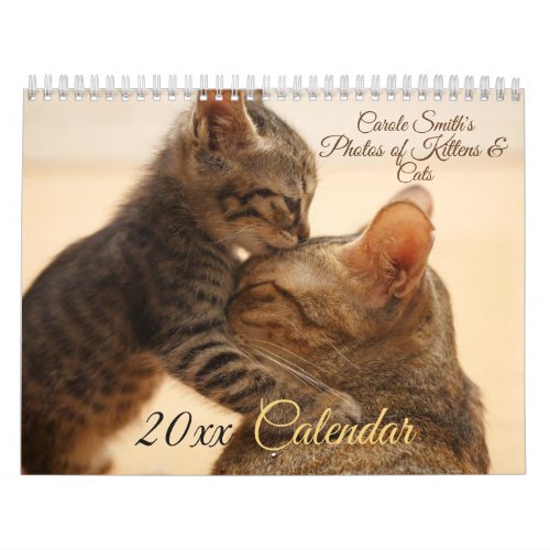 Photos of Cats  Kittens 20XX Calendar