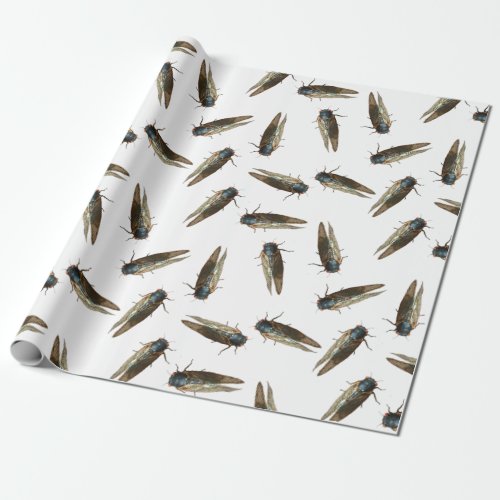 Photos of Cicadas Bugs Insects Patterned Wrapping Paper