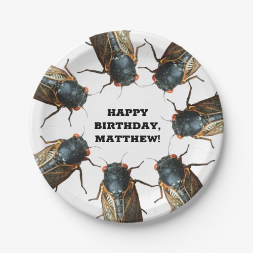Photos of Cicadas Bugs Insects Personalized Paper Plates