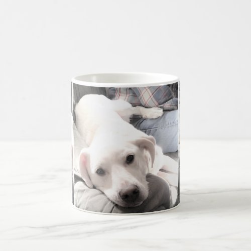 Photos of Cute White Dog Hanging Out With Dad Coffee Mug