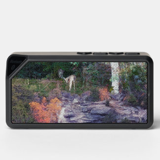Photoscenic New Hampshire Bluetooth Speaker
