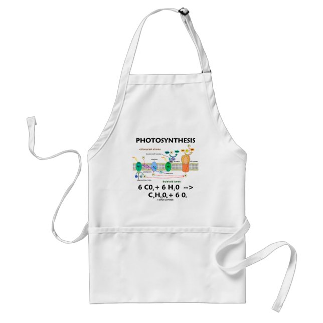 Photosynthesis (Carbon Dioxide + Water) Adult Apron (Front)