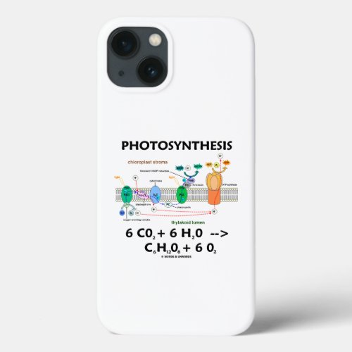 Photosynthesis Carbon Dioxide  Water iPhone 13 Case