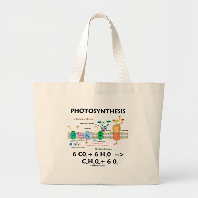Photosynthesis (Carbon Dioxide + Water) Large Tote Bag (Front)