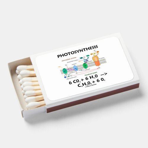Photosynthesis Carbon Dioxide  Water Matchboxes