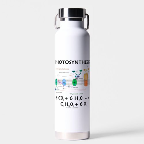 Photosynthesis Carbon Dioxide  Water Water Bottle