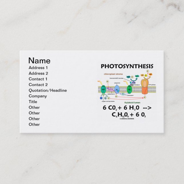 Photosynthesis (Chemical Formula) Business Card (Front)