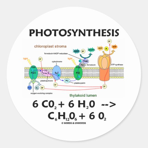 Photosynthesis Chemical Formula Classic Round Sticker