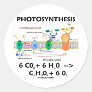 Photosynthesis (Chemical) Formula Classic Round Sticker