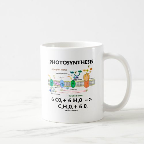 Photosynthesis (Chemical) Formula Coffee Mug