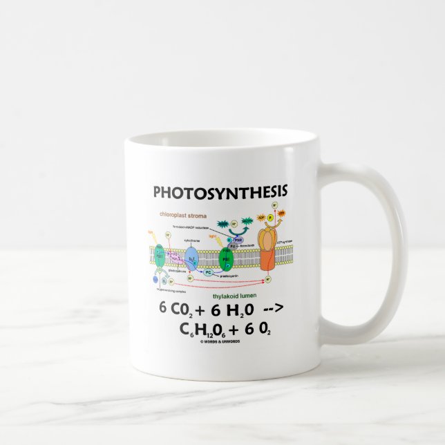 Photosynthesis (Chemical) Formula Coffee Mug (Right)