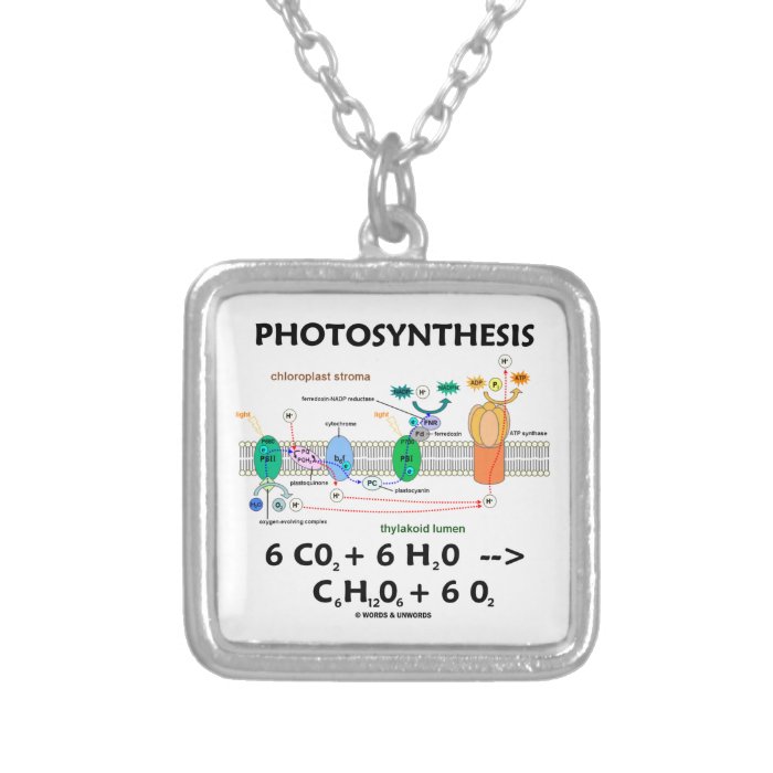 Photosynthesis (Chemical Formula) Jewelry