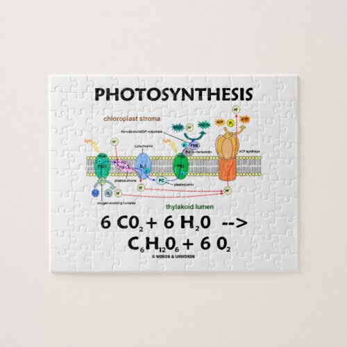 Photosynthesis Chemical Formula Light_Dependent Jigsaw Puzzle