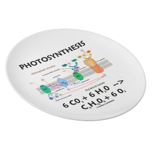 Photosynthesis (Chemical Formula) Plate (Right Side)
