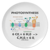 Photosynthesis (Chemical Formula) Plate (Front)