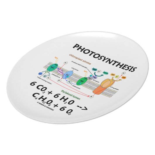 Photosynthesis (Chemical Formula) Plate (Left Side)