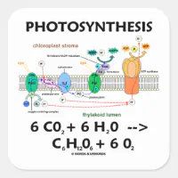 photosynthesis formula