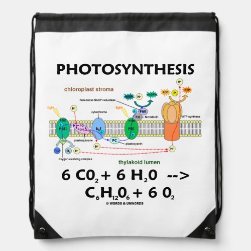 Photosynthesis Chloroplast Chemical Formula Drawstring Bag