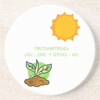 Photosynthesis coaster