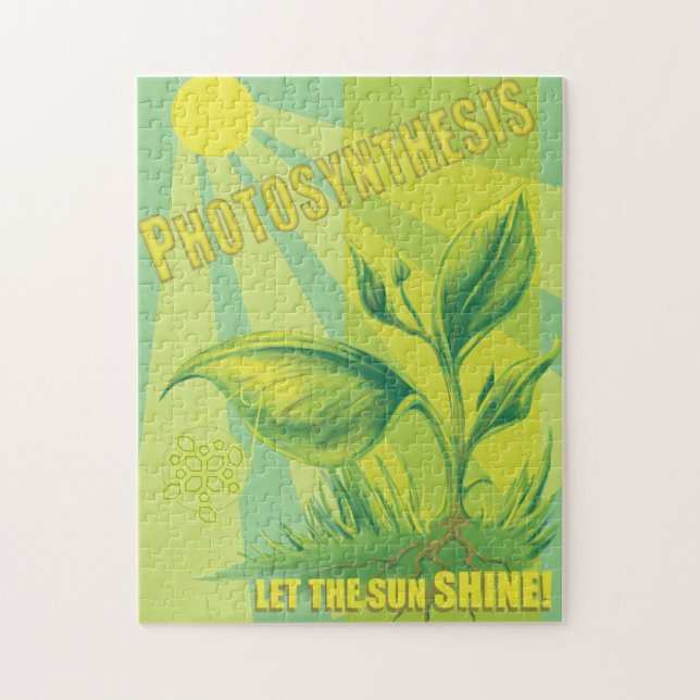 Photosynthesis Jigsaw Puzzle (Vertical)
