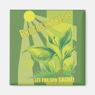 Photosynthesis Magnet