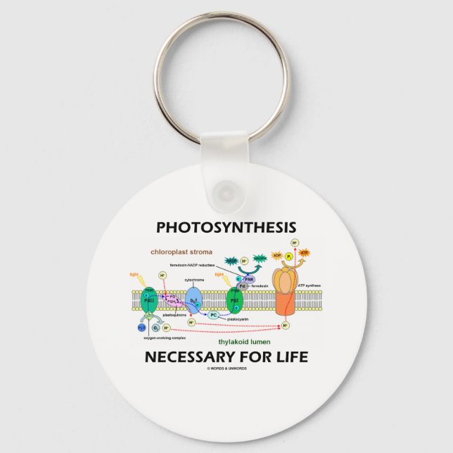 Photosynthesis Necessary For Life Keychain (Front)