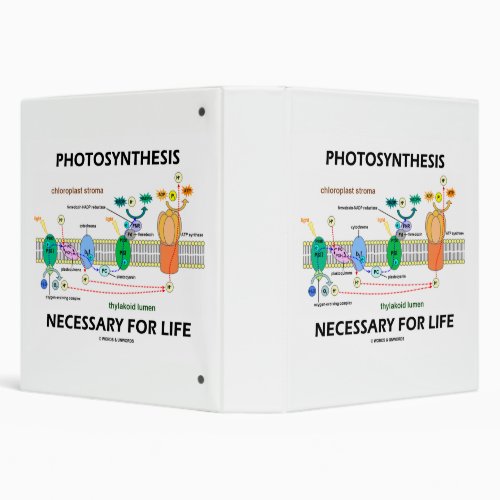Photosynthesis Necessary For Life Light_Dependent 3 Ring Binder