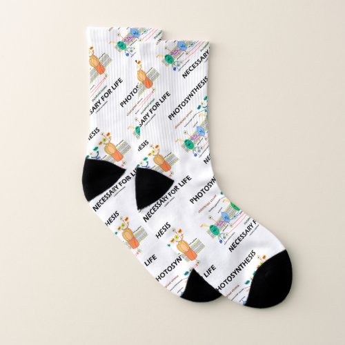 Photosynthesis Necessary For Life Light_Dependent Socks