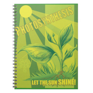Photosynthesis Notebook