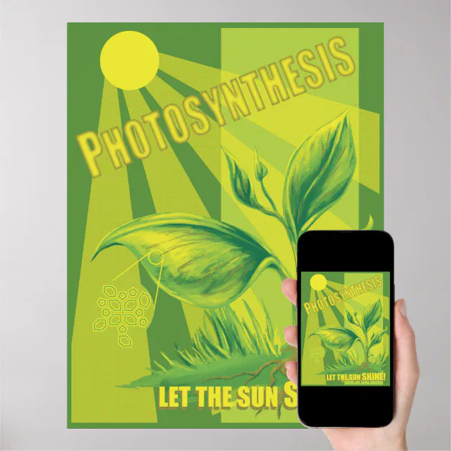 Photosynthesis Poster Examples Photosynthesis Poster | Zazzle